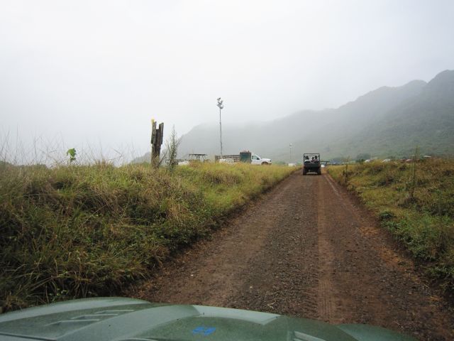 IMG 0447 copy